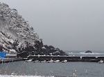 雪景色・冬の三陸の海は美しい