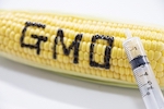 【なぜ遺伝子組み換え（GMO）がダメなのか？】TPP差し止め・違憲訴訟の会