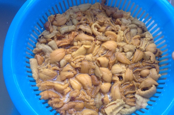 �y�E�j�̏����J���z���N�̃E�j����肤�厖�ȓ�