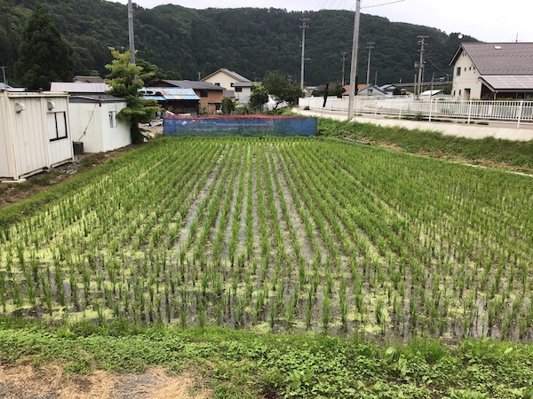 �y�c��ڕ����v��z�������ō앨���ǂ����炷�闝�R