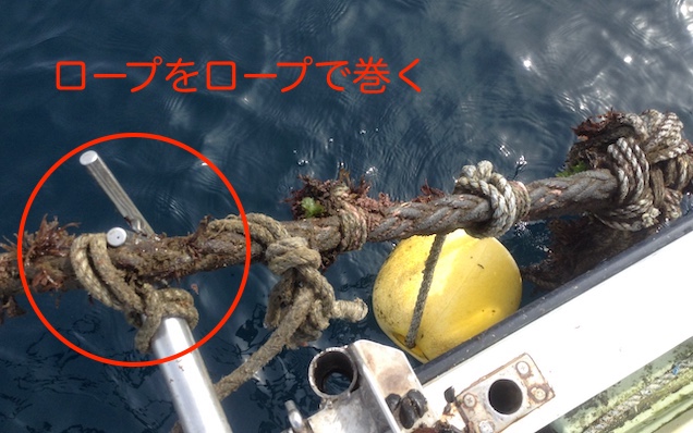 【海のロープ掃除】ワカメの種まき前の準備